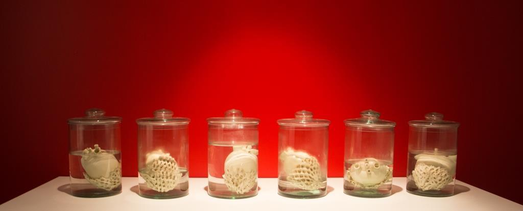 Em tramas, 2018. Cerâmica, vidro e água, 200x23x37cm.