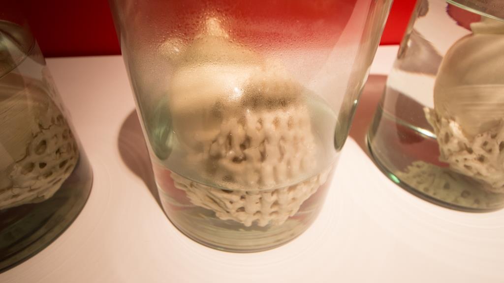 Em tramas (detalhe), 2018. Cerâmica, vidro e água, 200x23x37cm.