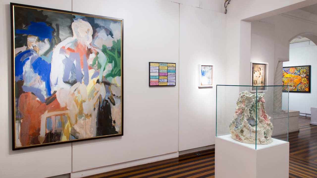 Exposição coleção catarina: coletar e cuidar