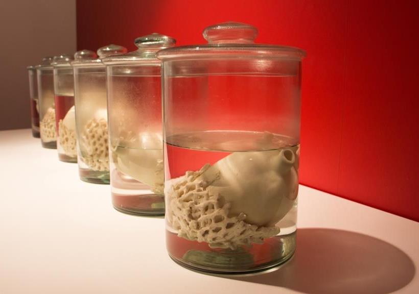 Exposição Íntimo Plural, de Sara Ramos.