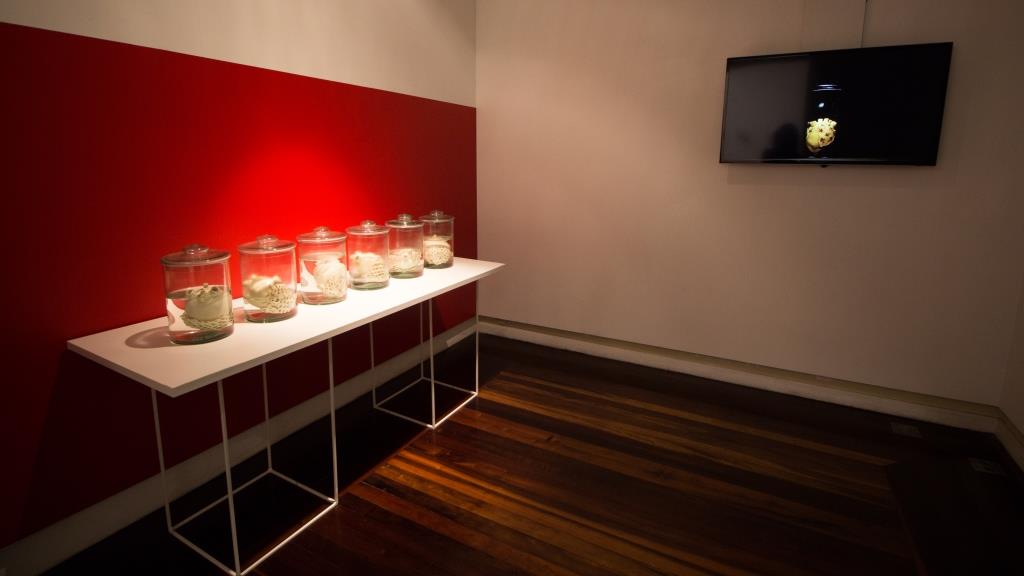 Exposição Íntimo Plural, de Sara Ramos.