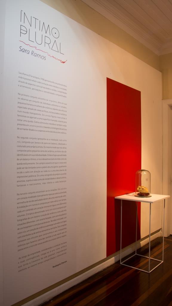 Exposição Íntimo Plural, de Sara Ramos.