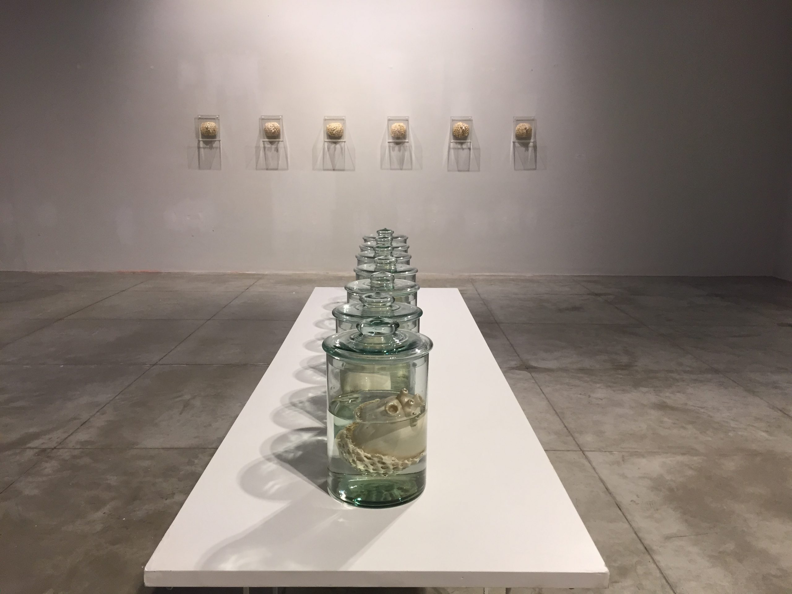Exposição Íntimo Plural na Galeria do SESC em Itajaí. Registro fornecido pela artista. 