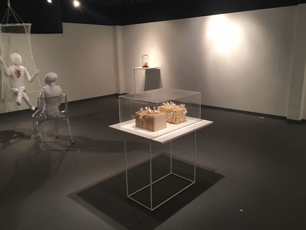 Exposição Íntimo Plural na Galeria do SESC em Joaçaba. Registro fornecido pela artista. 