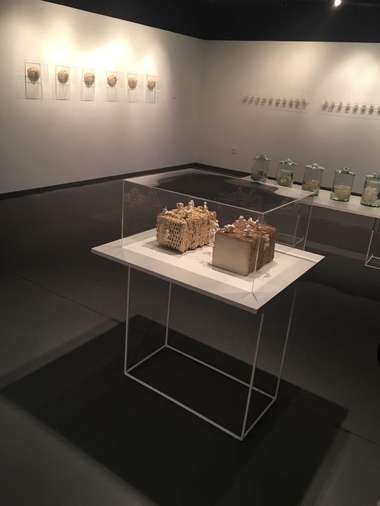 Exposição Íntimo Plural na Galeria do SESC em Joaçaba. Registro fornecido pela artista. 
