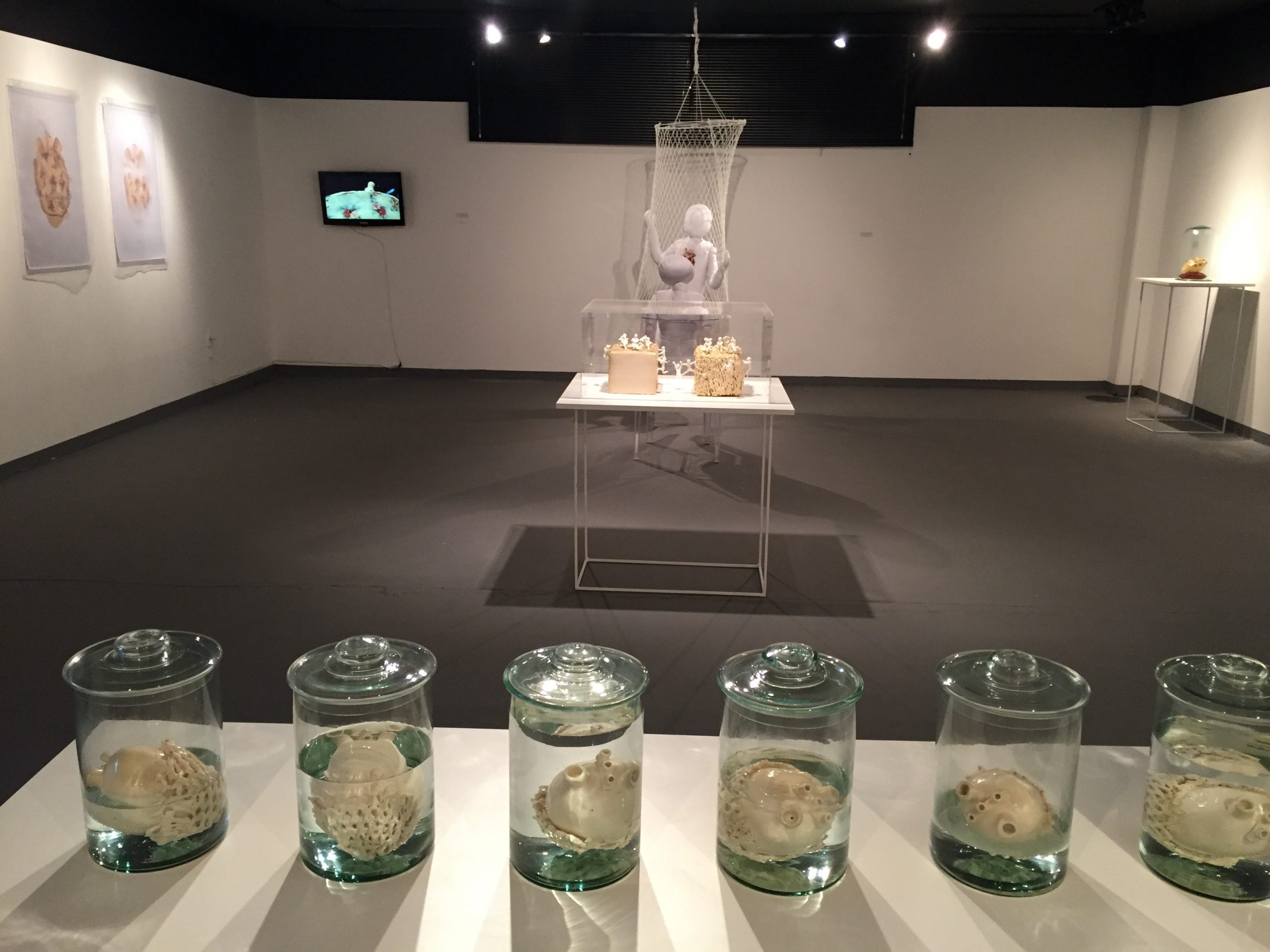 Exposição Íntimo Plural na Galeria do SESC em Joaçaba. Registro fornecido pela artista.