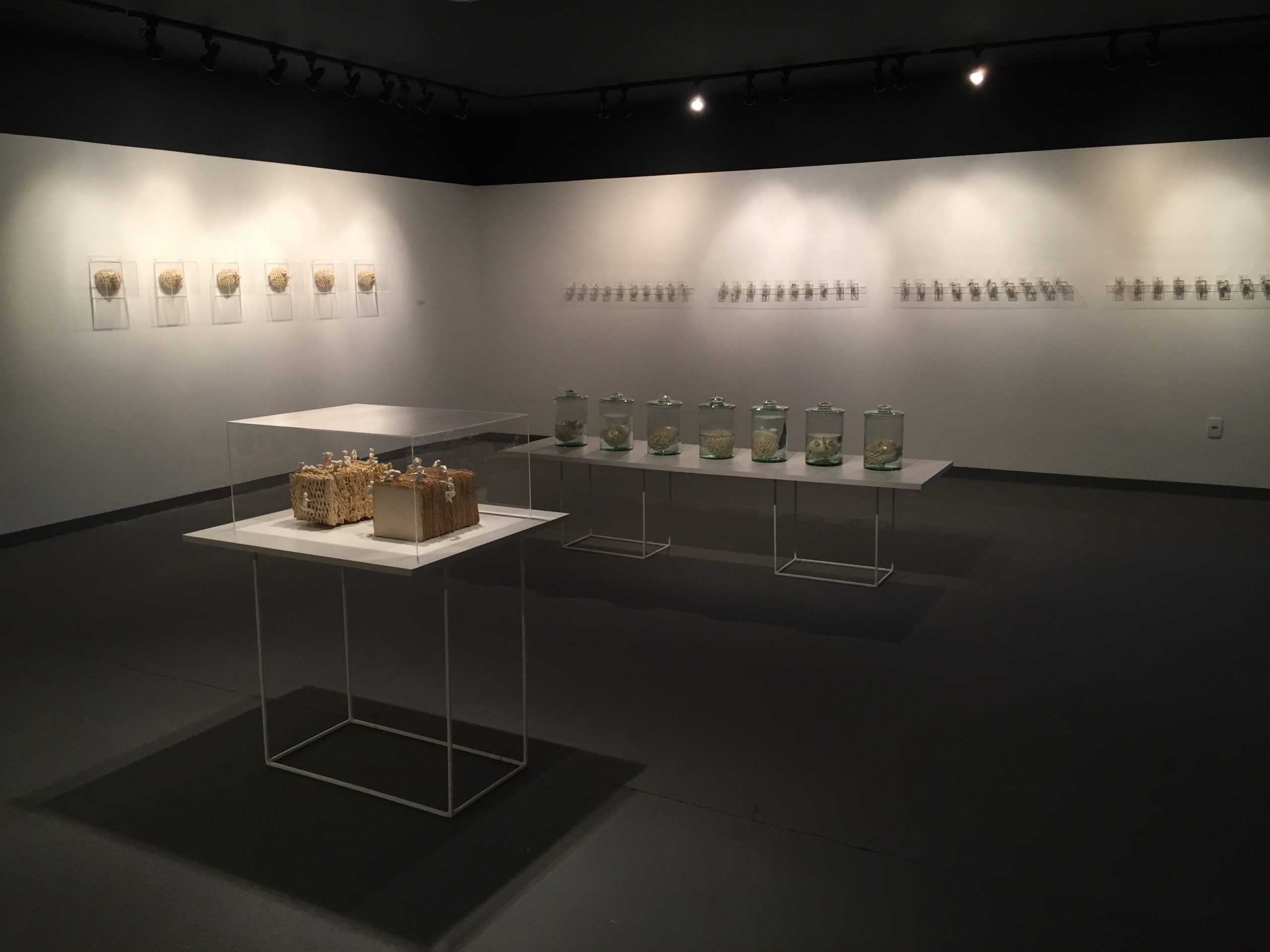 Exposição Íntimo Plural na Galeria do SESC em Joaçaba. Registro fornecido pela artista. 