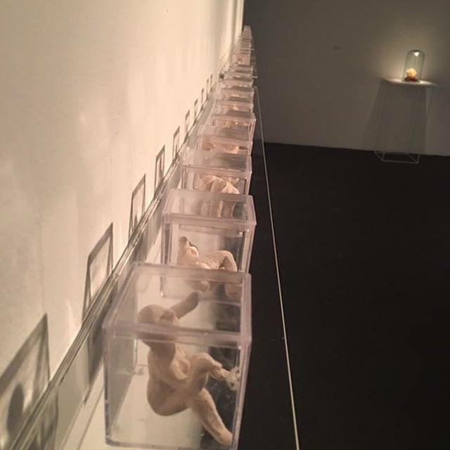 Exposição Íntimo Plural na Galeria do SESC em Joinville. Registro fornecido pela artista. 