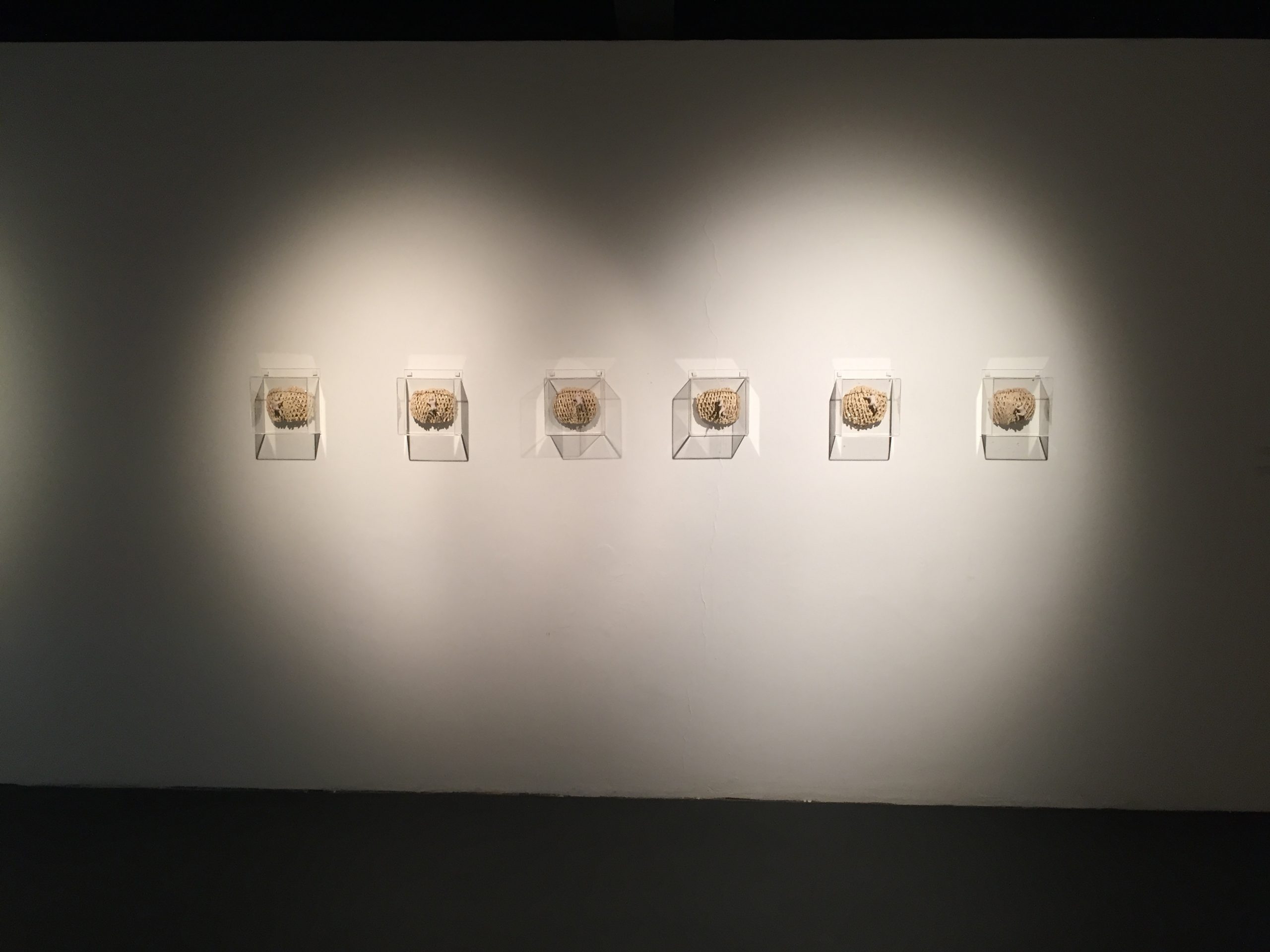 Exposição Íntimo Plural na Galeria do SESC em Joinville. Registro fornecido pela artista. 