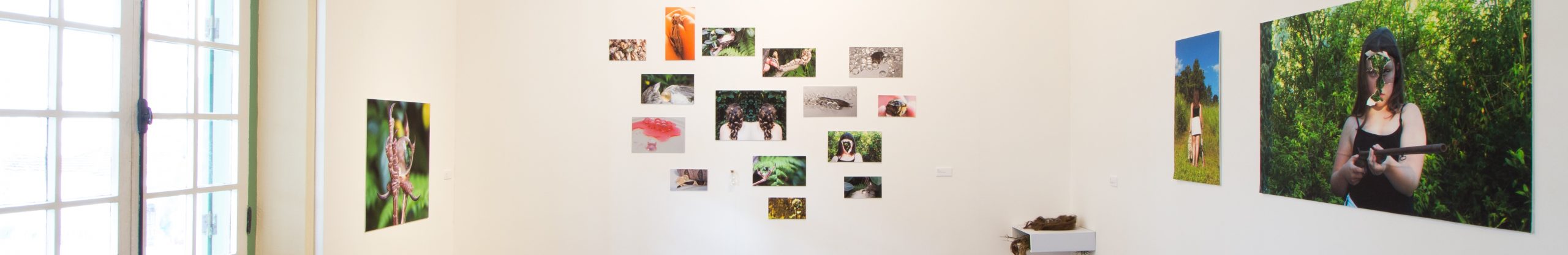 0Exposição Ova, de Maristela Müller testa (8)