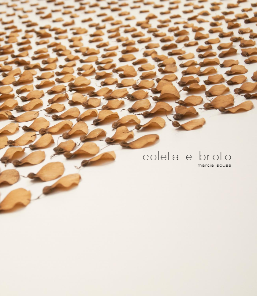 Catálogo coleta e broto