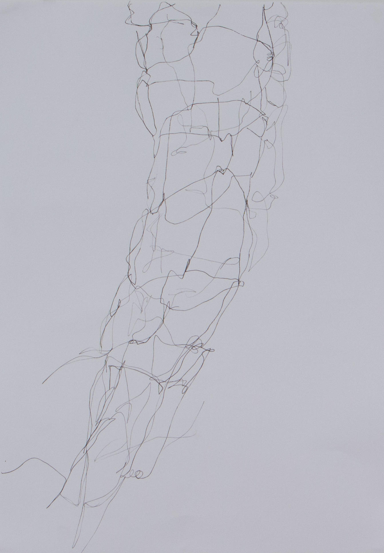 Corpolinha sombra, Anna Moraes, 2019. Desenho, caneta nanquim sobre papel, 29x42cm cada.