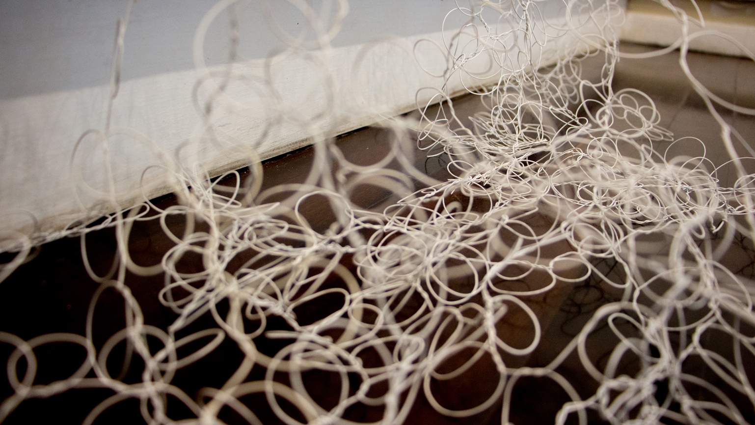 Detalhe de obra da exposição Olhar o desenho, de Flávia Duzzo.