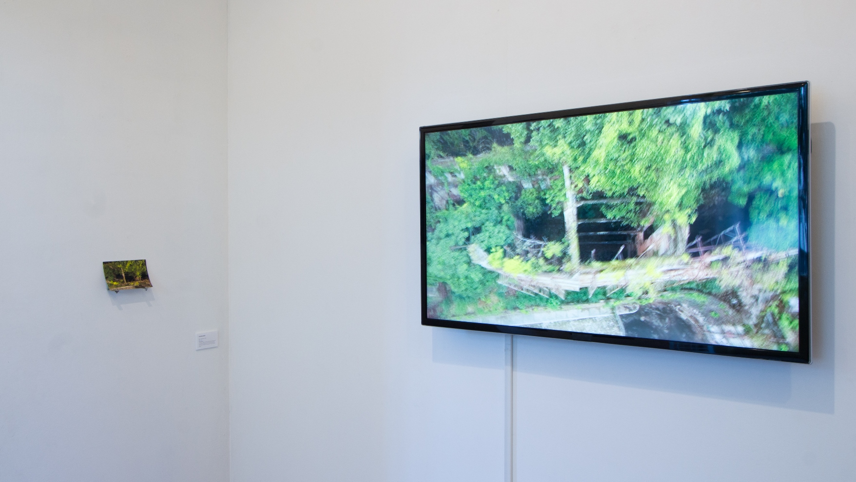 Exposição Inventário, de Beatriz Rodrigues.