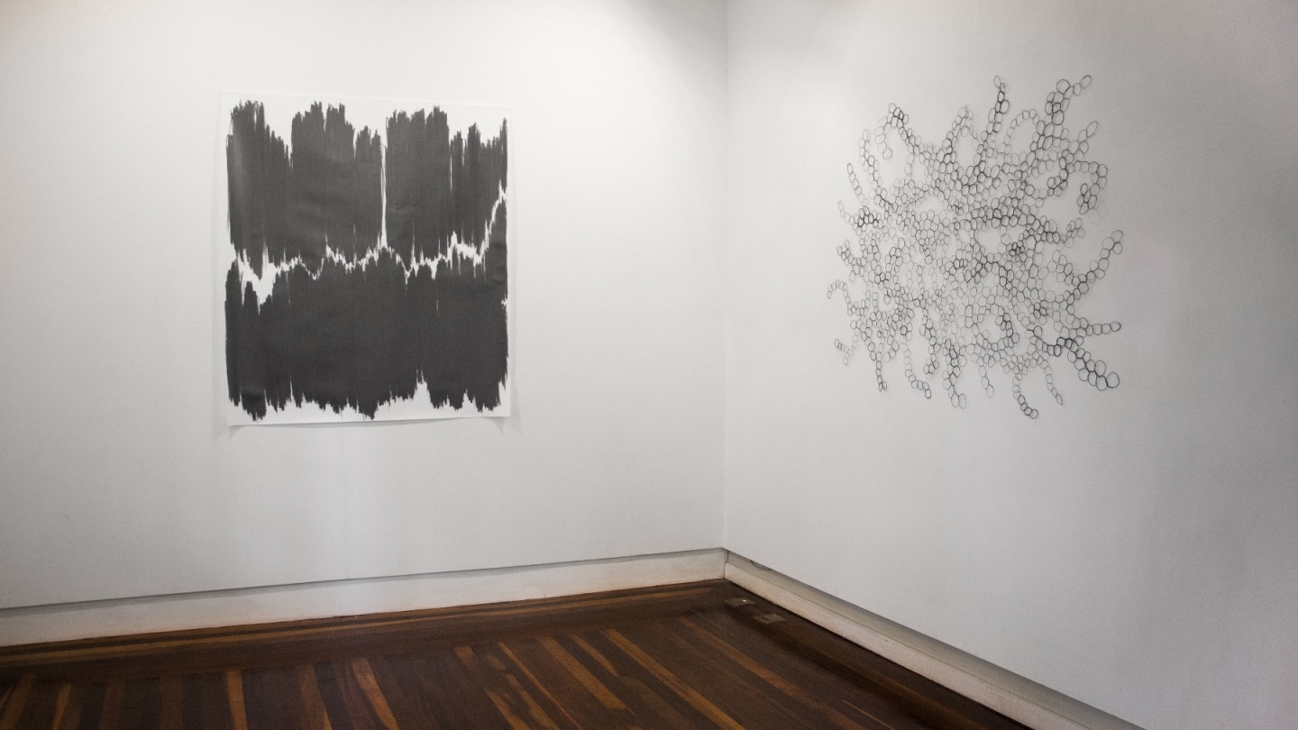 Exposição Olhar o desenho, de Flávia Duzzo.