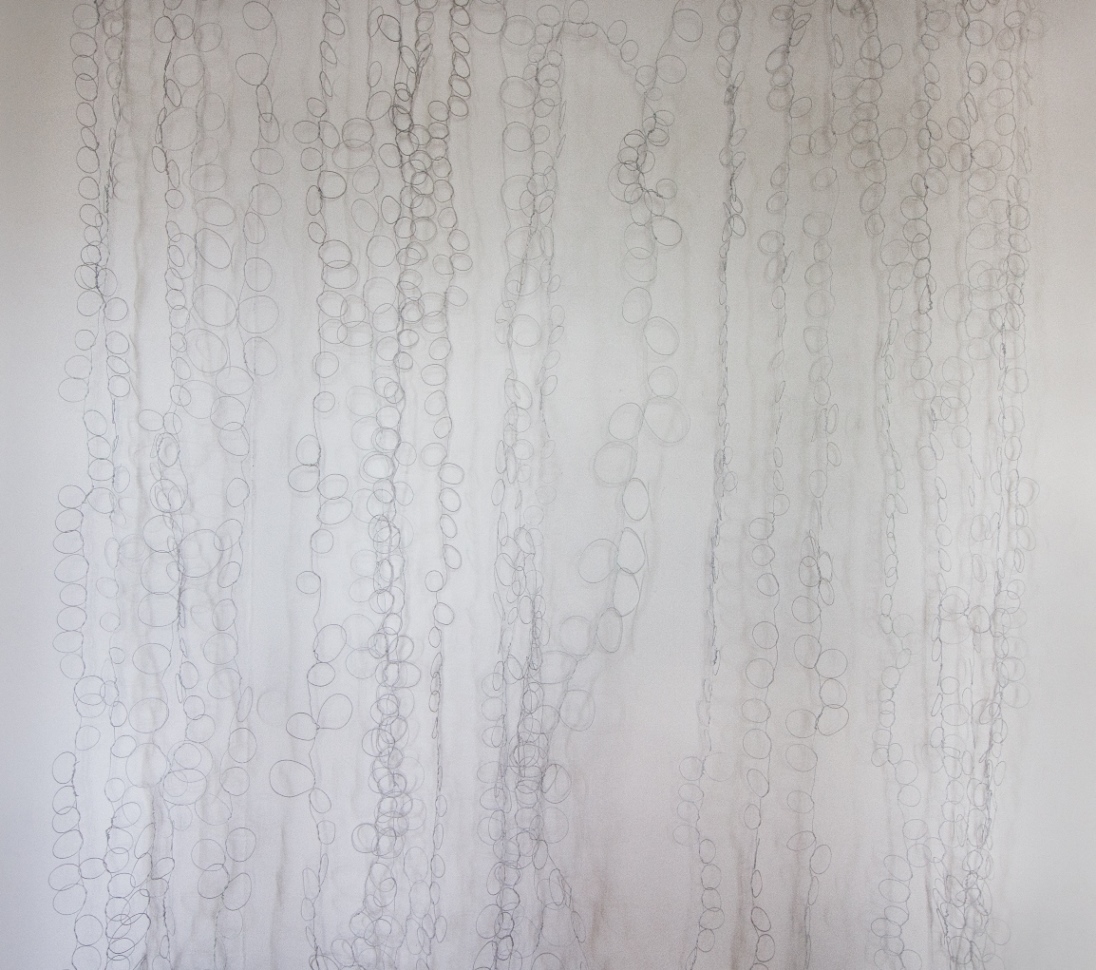 Exposição Olhar o desenho, de Flávia Duzzo.