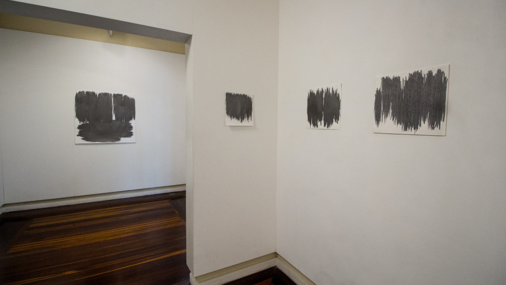 Exposição Olhar o desenho, de Flávia Duzzo.