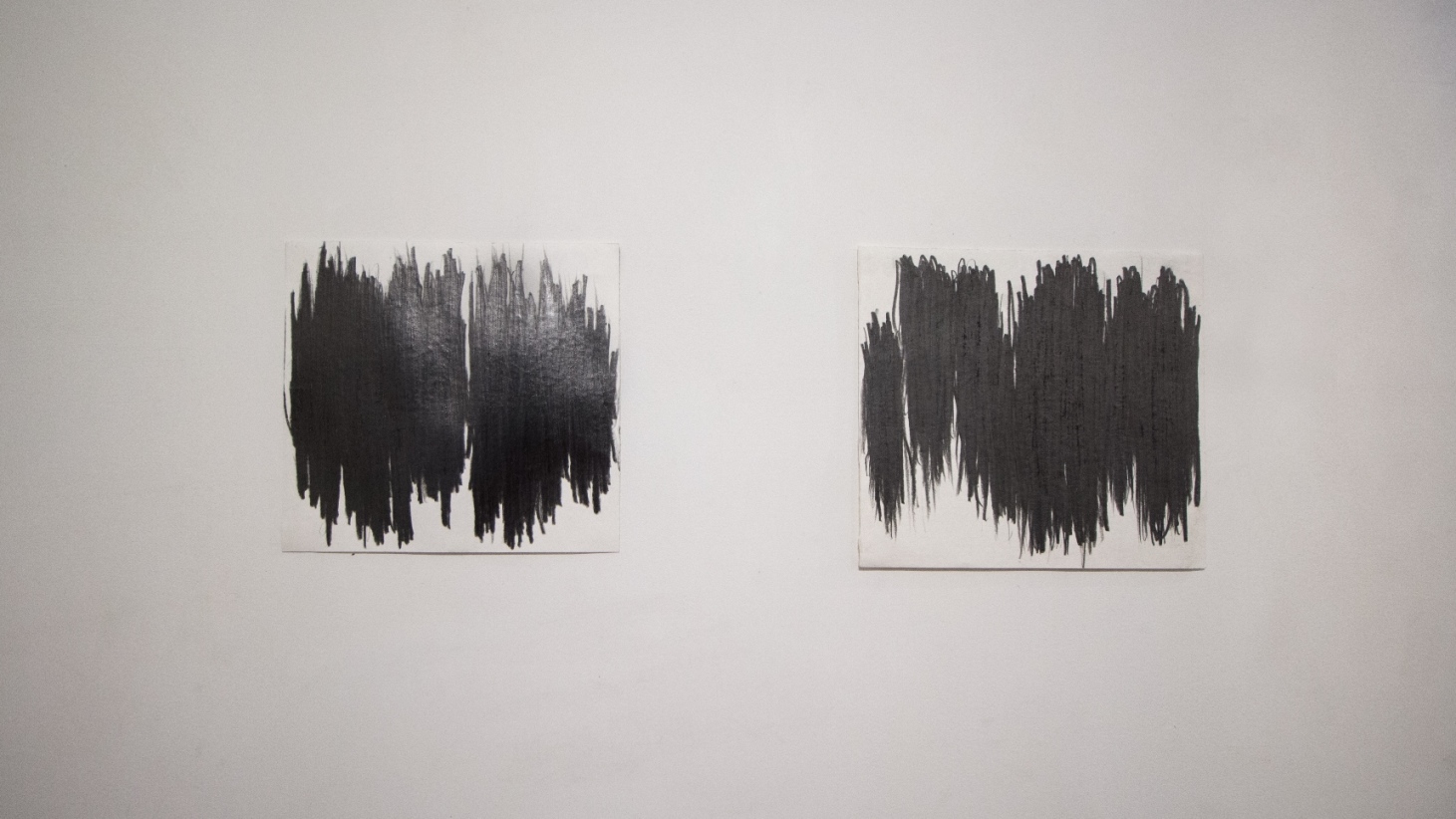 Exposição Olhar o desenho, de Flávia Duzzo.