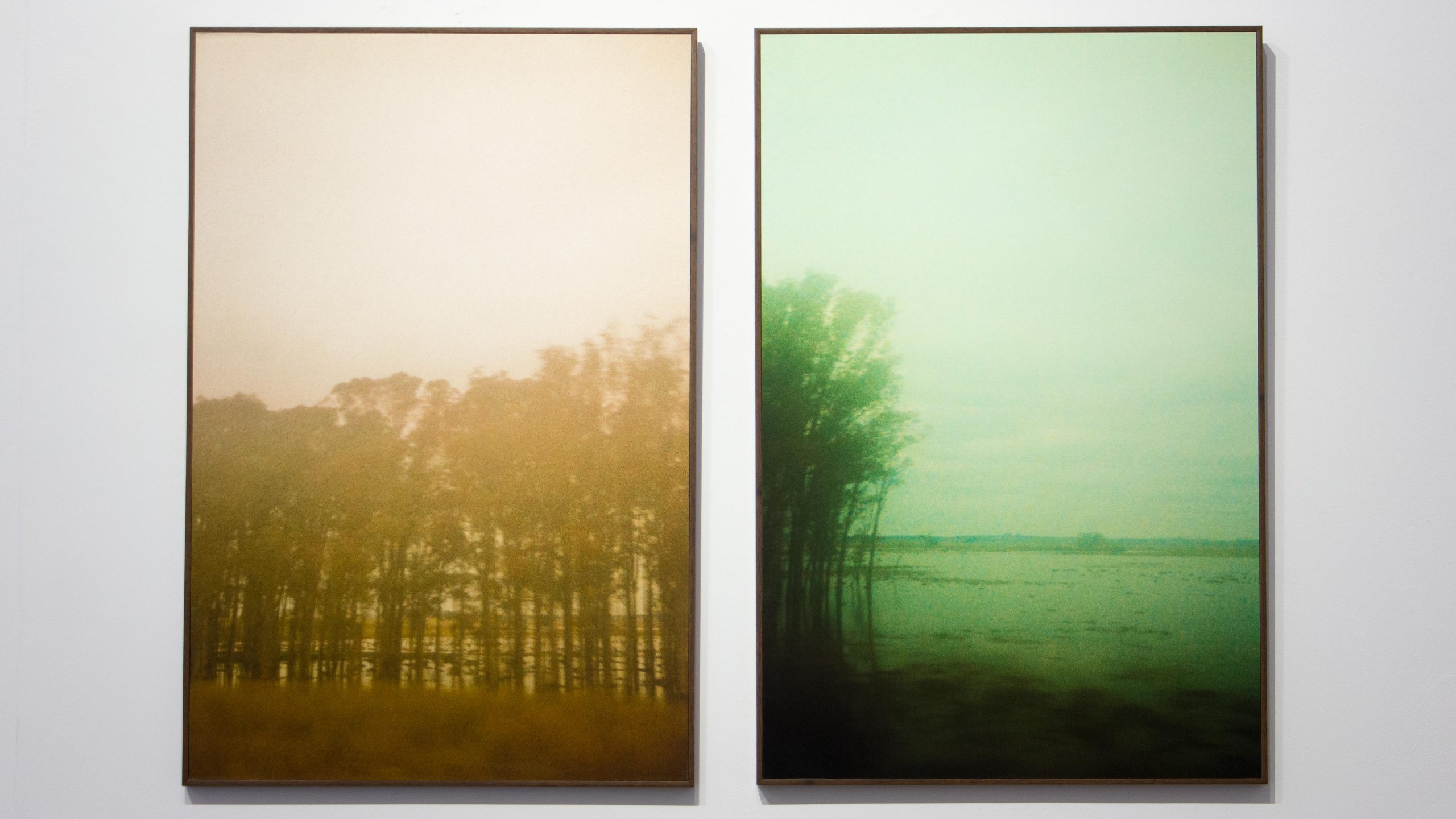 Exposição a cabeça pensa onde os pés pisam, de Sofia Brito.