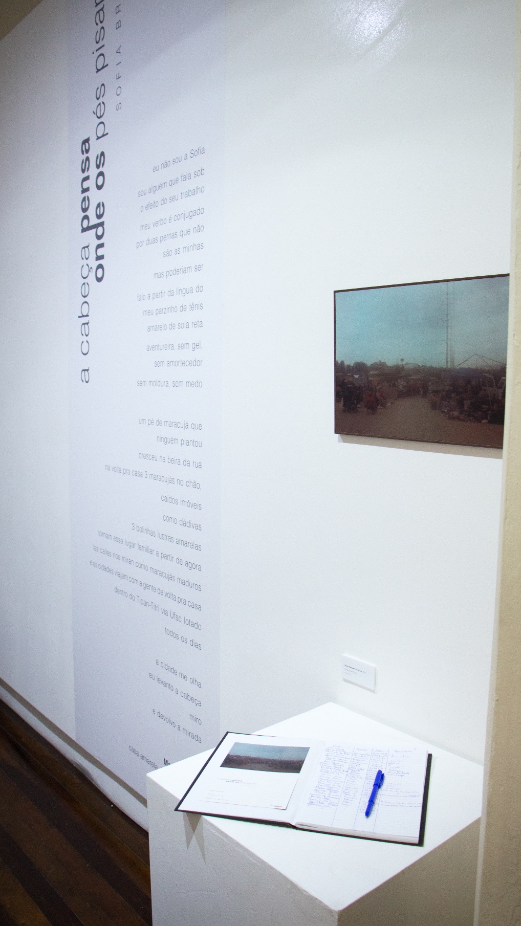 Exposição a cabeça pensa onde os pés pisam, de Sofia Brito.