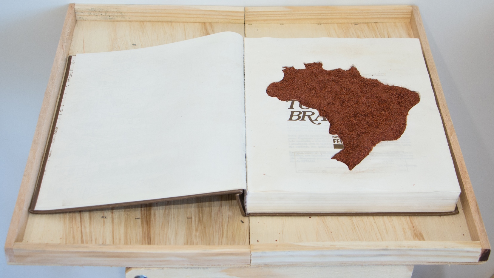 Guia dos BeGuia dos Bens Tom_Ados do Brasil II, 2018. Objeto, livro com 526 páginas recortadas à mão com serragem Pau-brasil, 2 de 10, 27x22x4,5cm.nsGuia dos Bens Tom_Ados do Brasil II, 2018. Objeto, livro recortado com 526 páginas recortadas à mão com serragem Pau-brasil, 2 de 10, 27x22x4,5cm. Tom_Ados do Brasil II, 2018. Objeto, livro recortado com 526 páginas recortadas à mão, 2 de 10, 27x22x4,5cm.