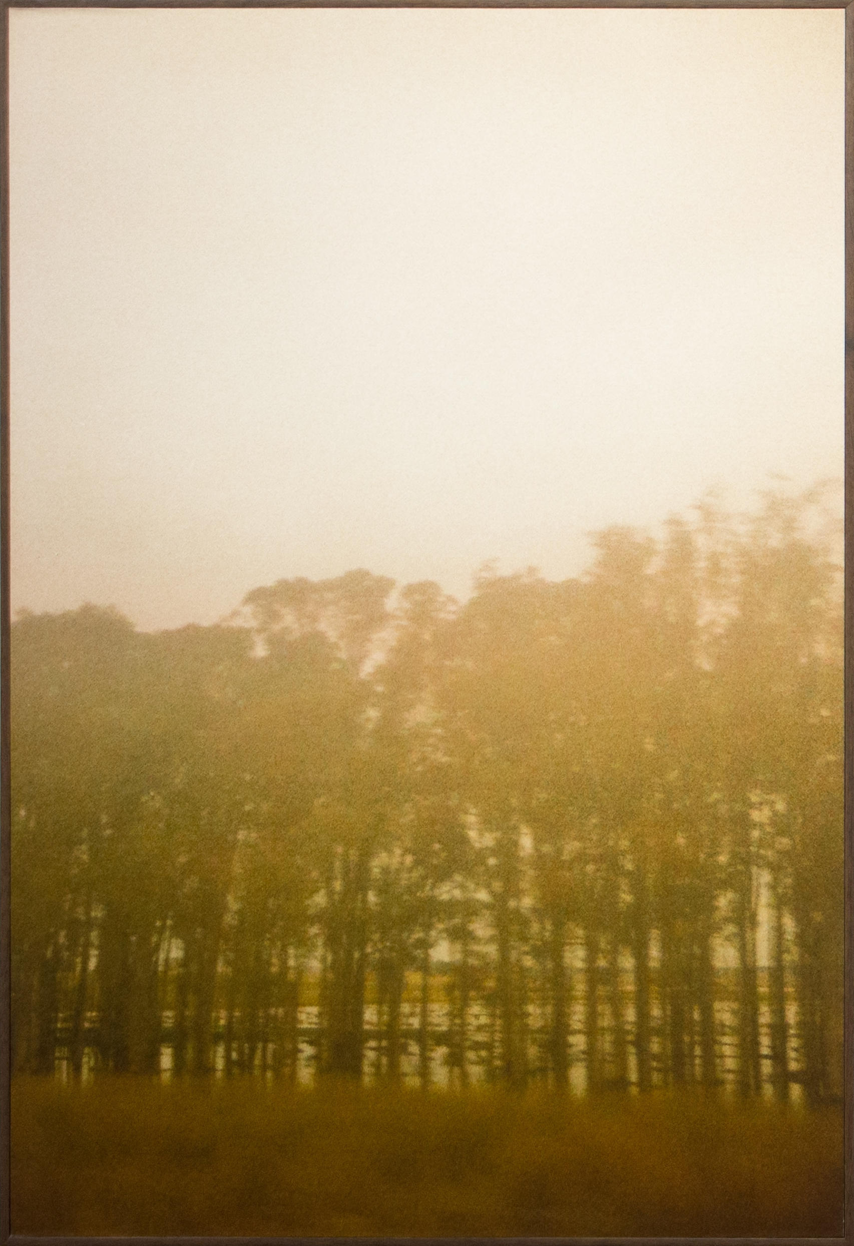 Modo Paisagem #1 Mercosul, 2013. Fotografia analógica, 30x40cm cada.