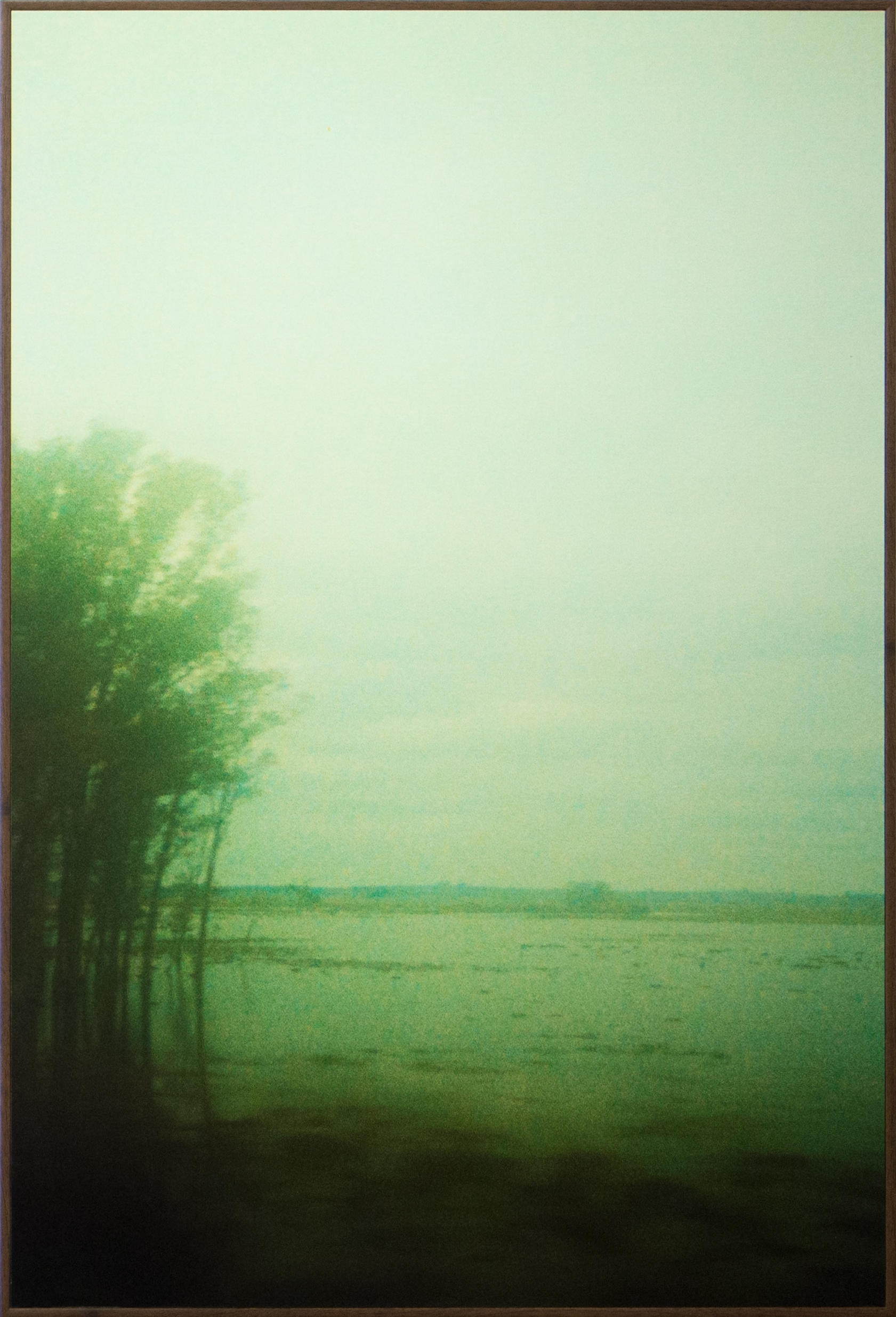 Modo Paisagem #1 Mercosul, 2013. Fotografia analógica, 30x40cm cada.