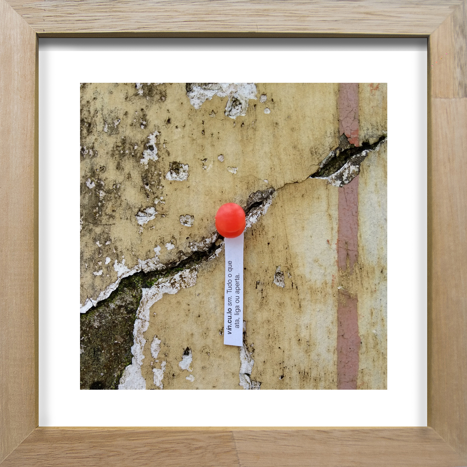 Vínculo, 2017. Fotografia, 13x13cm. Fonte: Luiz Ferreira.