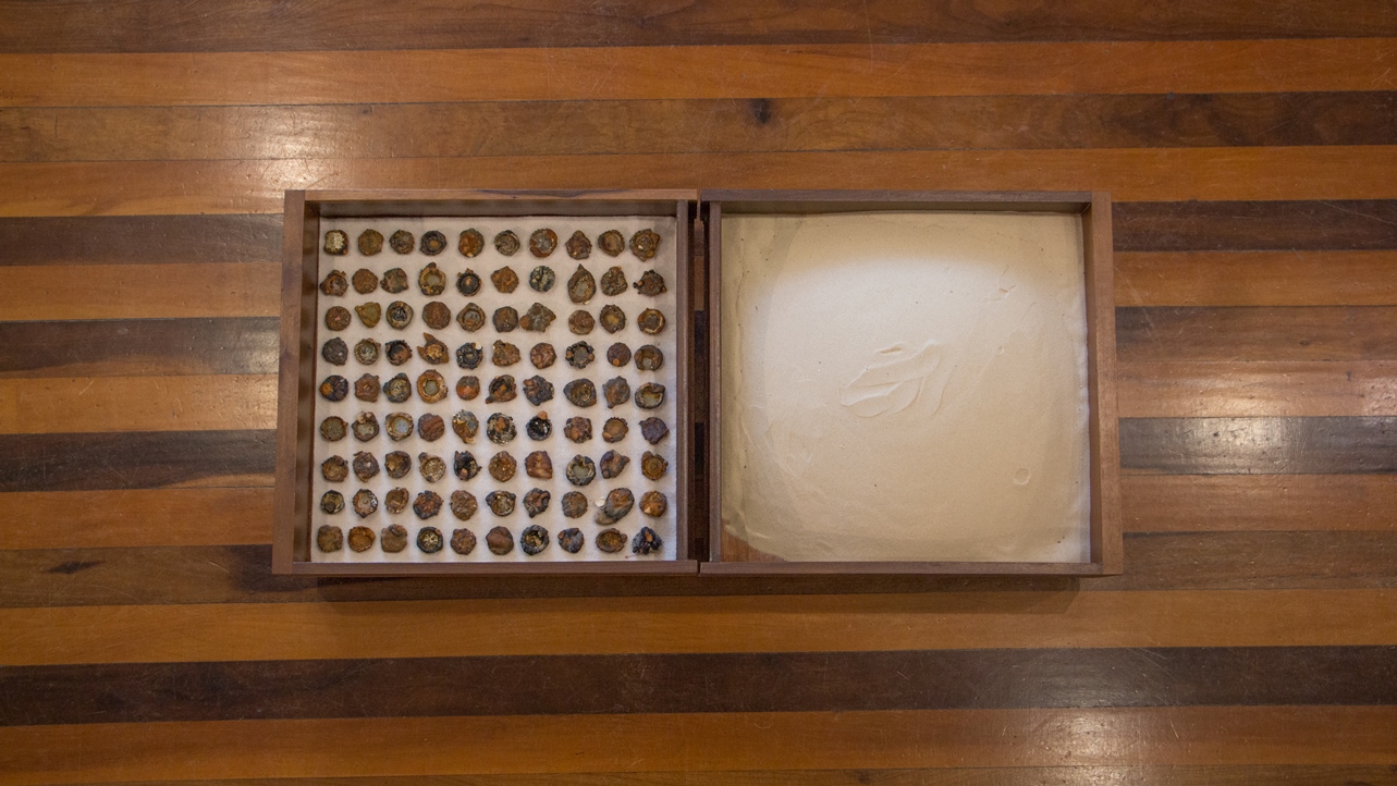 Arqueologicamente contemporânea - a escória da ferrugem, Sandra Favero, 2018. Objeto, 48x44,5x10cm cada caixa.