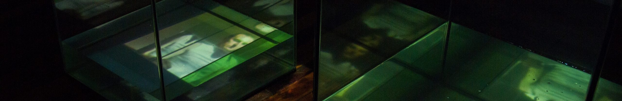 exposição-entre nós-69