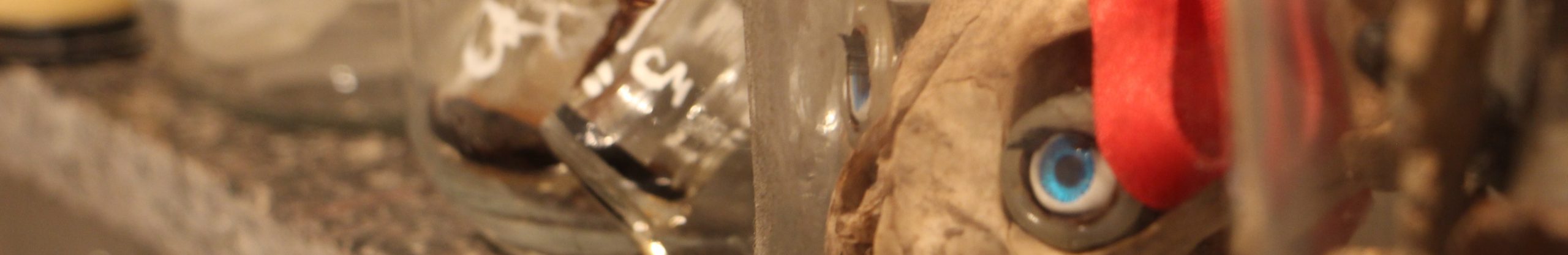 15 06 18 EXPOSIÇÃO - TAXIDERMIA, Augusto Benetti (31)