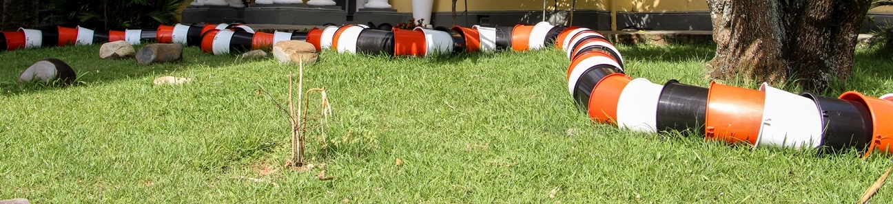 Exposição Habitar os Incorporais, de Schwanke.