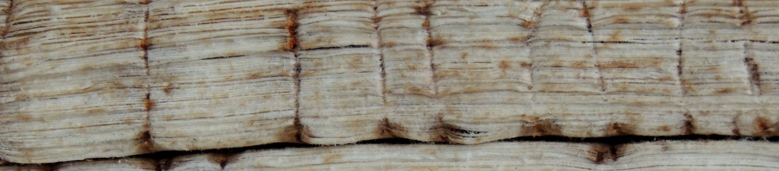 Cicatrizes. Fonte: Paulo Gaiad.