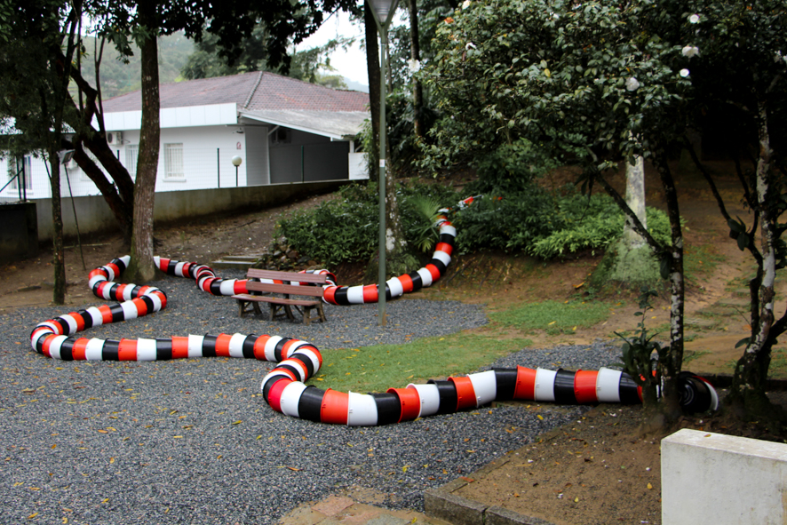 Schwanke Circuito-10