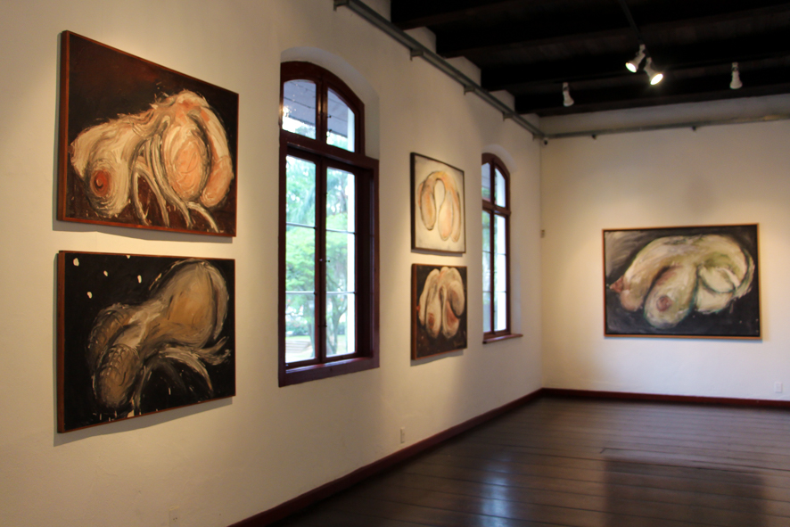 Exposição Schwanke, Circuito Expositivo:  Museu de Arte de Joinville - MAJ