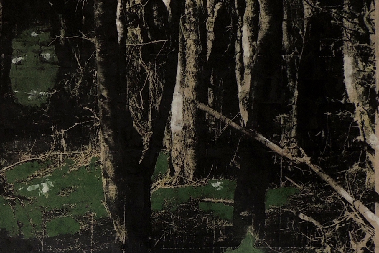 Patagônia, detalhe, 2,00x2,00m.