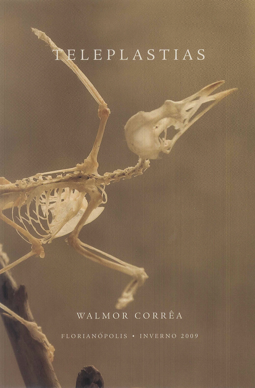 2009 08 05 TELEPLASTIAS pt1 - Cópia