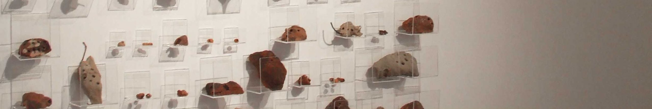 Condomínios inteligentes, Rosana Bortolin, 2006. - Cópia