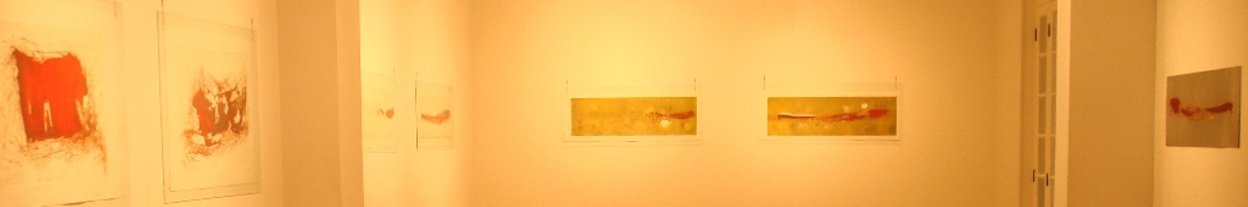 Exposição A cor na gravura em metal, de Lú Pires. (146) - Cópia