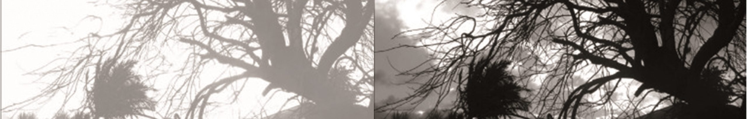 passagem,_2008 cópia (2)